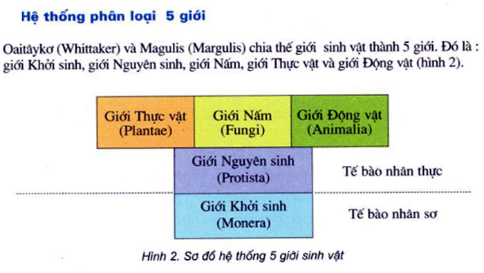 Sinh học 10 - Bài 2: Các giới sinh vật