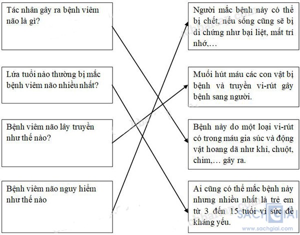 khoa hoc 5 bai 14 cau 1b