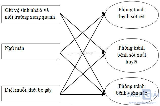 khoa hoc 5 bai 20 cau 4b