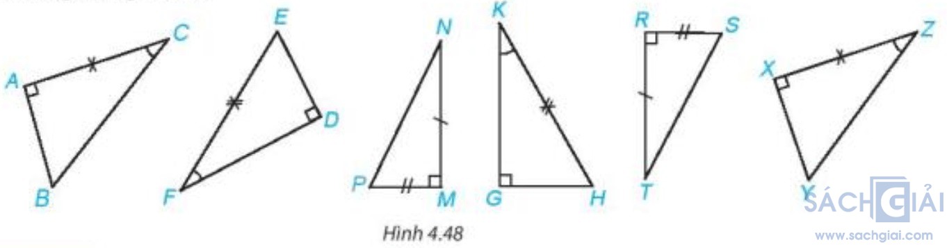 hinh 4 48