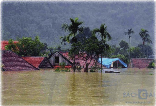 Soạn văn 8 sách Cánh Diều, bài 3: Lũ lụt là gì? Nguyên nhân và tác hại
