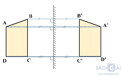 cau 6