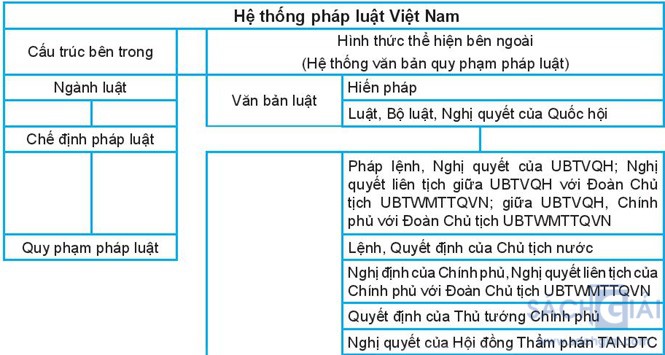 giai kinh te phap luat 10 bai 12 cau 1